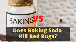 Does BAKING SODA Kill Bed Bugs? The REAL TRUTH