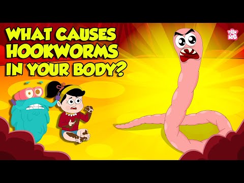 What causes Hookworm?। Intestinal Worms Symptoms and Treatment | Worm Infection | Dr. Binocs Show