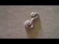 Baby Viper 