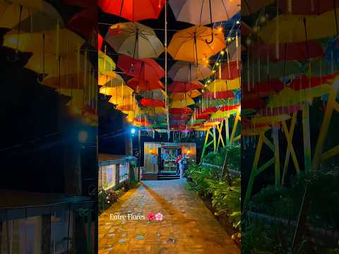 #Chinacota Love plan con alojamiento y diversiones saliendo desde Cúcuta