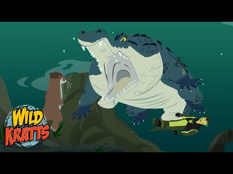 Creature Battles! | Every Creature Showdown Part 14 | New Compilation | Wild Kratts