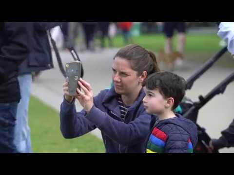 Giant ravens appear around the UK