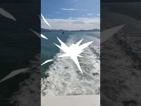 SHUTDOWN LOAD BANK 2000KW - NAVY BASE LANGKAWI 