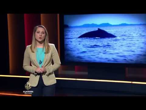 Al Jazeera Svijet - 31.05.2015.