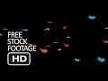 Free Stock Footage Flying Butterflies Background Black