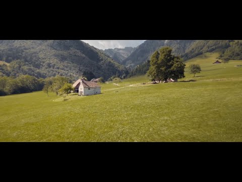 Carnia - Look different