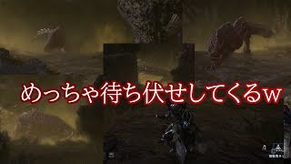 #15【モンスターハンターワールド実況】わんちゃんにお散歩を強要されるMHW実況【謎の痕跡探し】