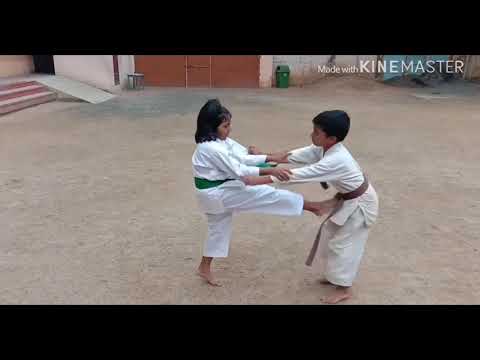 Pinan Sandan Kata & Bunkai-Shito Ryu Performed by 6 Year Old Girl...