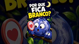 CUIDADO COM MIRTILO BRANCO