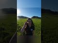 Twice A Day The Surprising Life Of California Dairy Cows Holsteincows Dairyfarm Agriculture