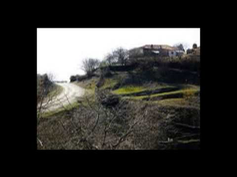 Iriu nga leshnica vritet ne Siri