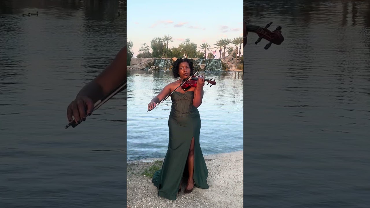 Promotional video thumbnail 2 for Violin by Valencia