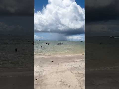 Praia das campas/Tamandaré #foryou #beach #tamandaré #pernambuco #praiadoscarneiros