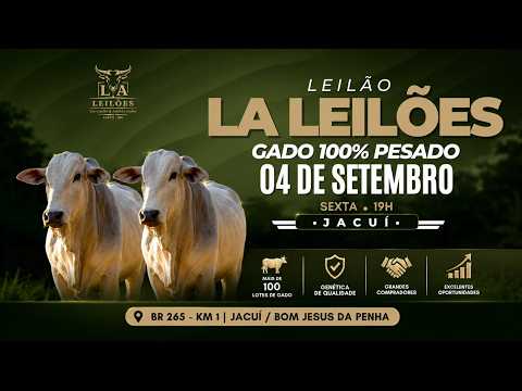 LEILÃO DE GADO L. A. LEILÕES DE JACUÍ. MG