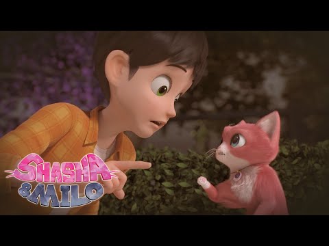 Shasha’s Story 🐈 | Shasha & Milo