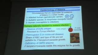 Dr Azza  Protozoa 9    YouTube