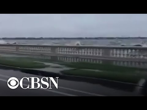 Tropical Storm Elsa makes landfall along Florida's Gulf Coast