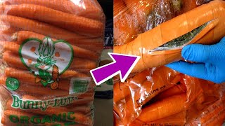 Craziest and Most Interesting Ways People Hide Things!