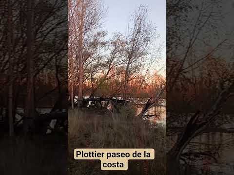 #plottier #otoño #nature #atardecer #patagonia #neuquén