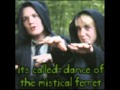 Draco Malfoy: My Sexy Slytherin Prince 