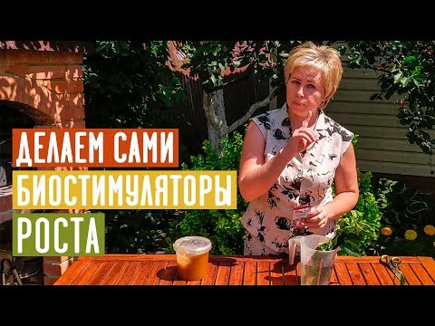 НЕ ПОКУПАЙ! СДЕЛАЙ САМ! Биостимуляторы роста своими руками / Садовый гид