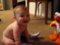 Baby Trevor And Chicken Dance Elmo