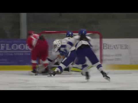 DF #1 Championnat de hockey féminin U SPORTS 2017 McGill vs. UBC thumbnail