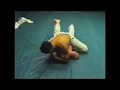Rickson Gracie Vs 6x Russian Judo Champion