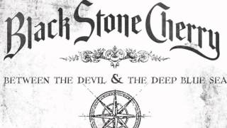 Black Stone Cherry - Killing Floor (Audio)