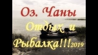 На что ловить окуня в лесных озере чаны