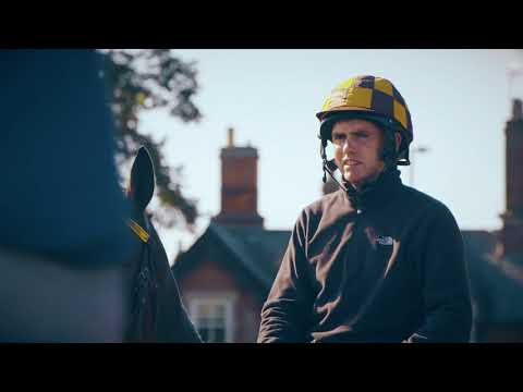 Sir Mark Prescott, Racehorse Trainer, Newmarket, UK. www.heathhousestables.com