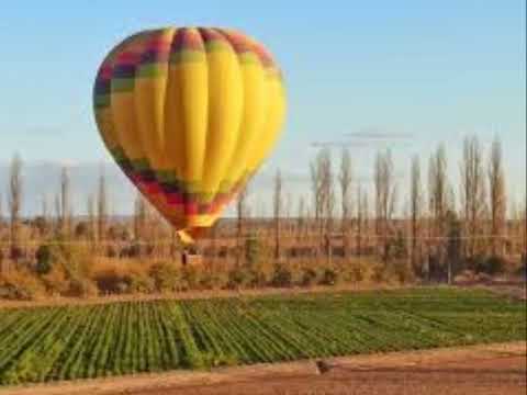 GLOBOS AEROSTATICOS, LOS BARRIALES, JUNIN, MENDOZA 2
