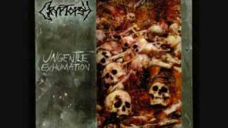 Cryptopsy - Back to the Worms