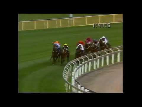 Rough Habit - Caulfield Stakes 2000m Group 1 1994 - Ridden by Jim Cassidy