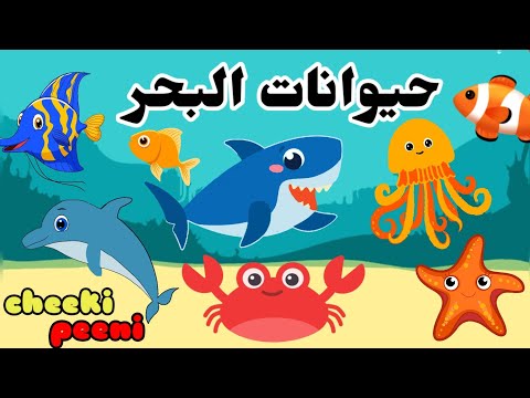 حيوانات البحر باللغة العربية للاطفال - Learn sea animal names in arabic - الحيوانات البحرية
