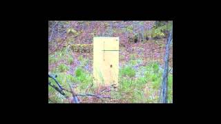 10 lbs Kickass exploding target vs Fridge