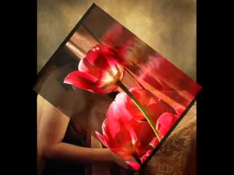 Mualla / Muharrem Abut Şiiri