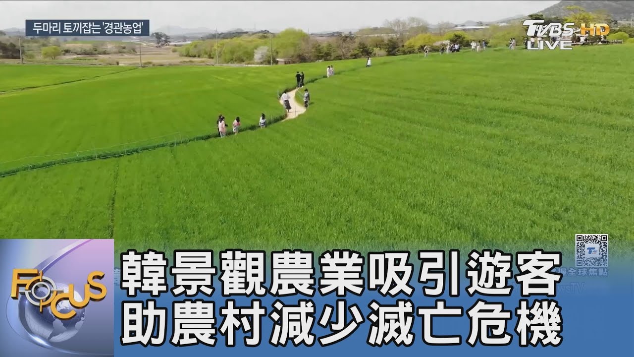 韓景觀農業吸引遊客 助農村減少滅亡危機