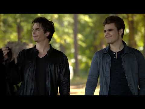 Everyone shipping Stefan and Caroline for straight 9 minutes 