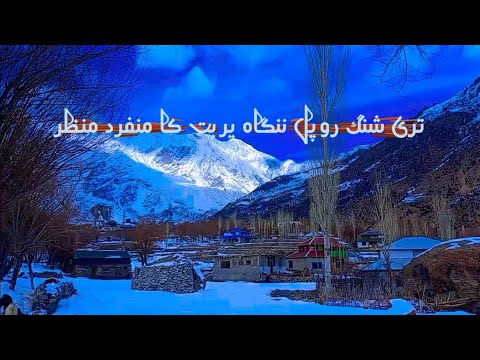 Tarishing Nangaparbat cottage|Rupal village