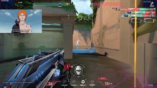 Zander Omen Lotus PRO SMOKES