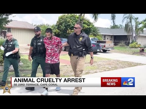 Cape Coral man arrested after 3 dogs found malnourished in garage