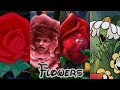 Flowers Of Wonderland Alice In Wonderland Evolution In Movies TV 1951 2022