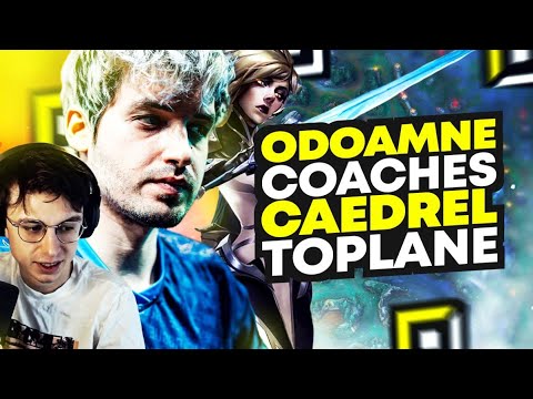 ODOAMNE COACHES CAEDREL TOPLANE