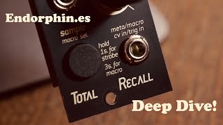 Video thumbnail for Total Recall by Endorphin.es - Deep Dive by Synth Diy Guy