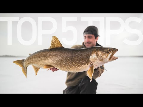 Top 5 Tips to Catch Trophy Fish. Ice Fishing for Lake Trout