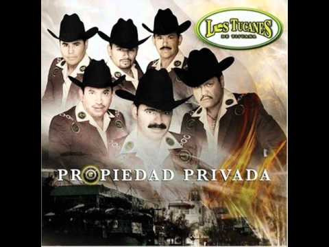 El polimenso-Los tucanes de tijuana