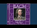 Sehet, welch eine Liebe, BWV 64: No. 5, Aria. "Was die Welt in sich hält"