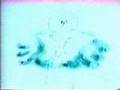 Classic Sesame Street Animation And The Tall Bird Said