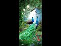 Naan Oru Mouna Ragam Song